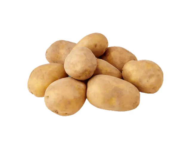 Malaysia Holland Potato, 600g