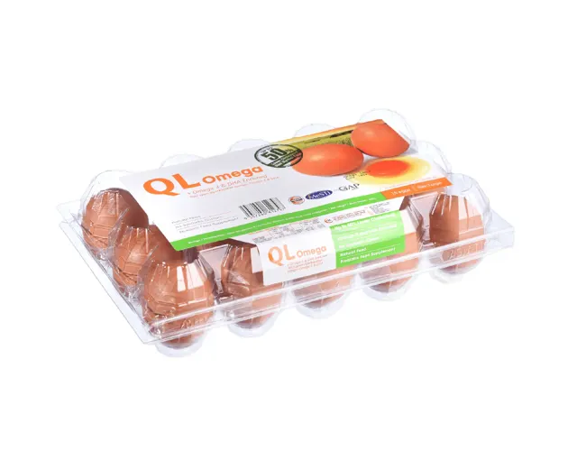 Ql Omega Eggs with Omega 3 and Dha (Large) 15pcs/pack