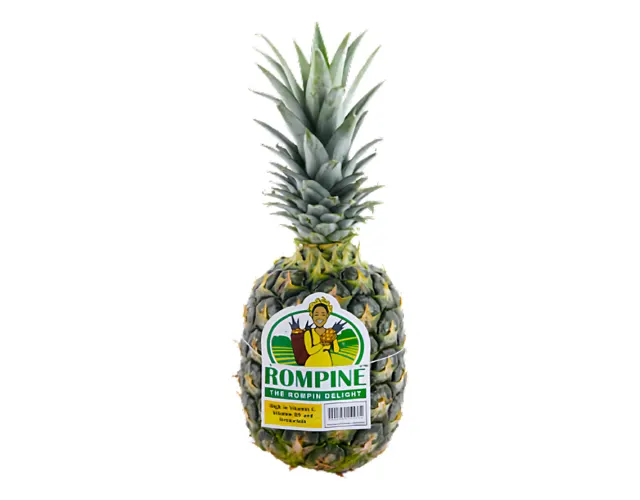 Rompine Malaysia Md2 Pineapple, 1.49 kg