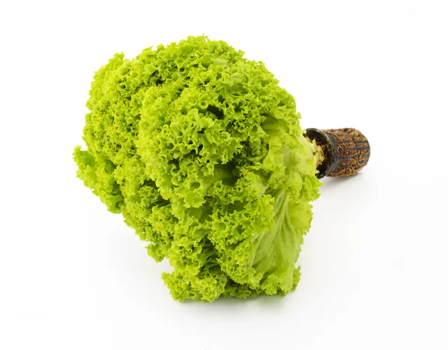 Cameron Malaysia Lettuce, 300g