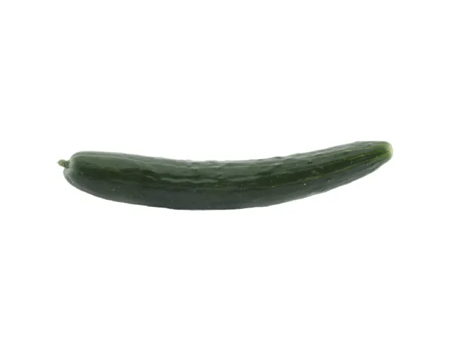 Segar2go Japanese Cucumber 2pcs