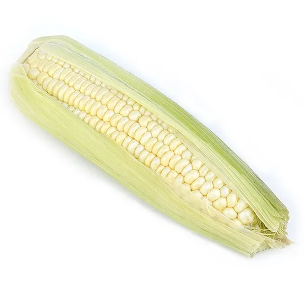 Segar2go My Sugar Cane Sweet Corn, 1pcs