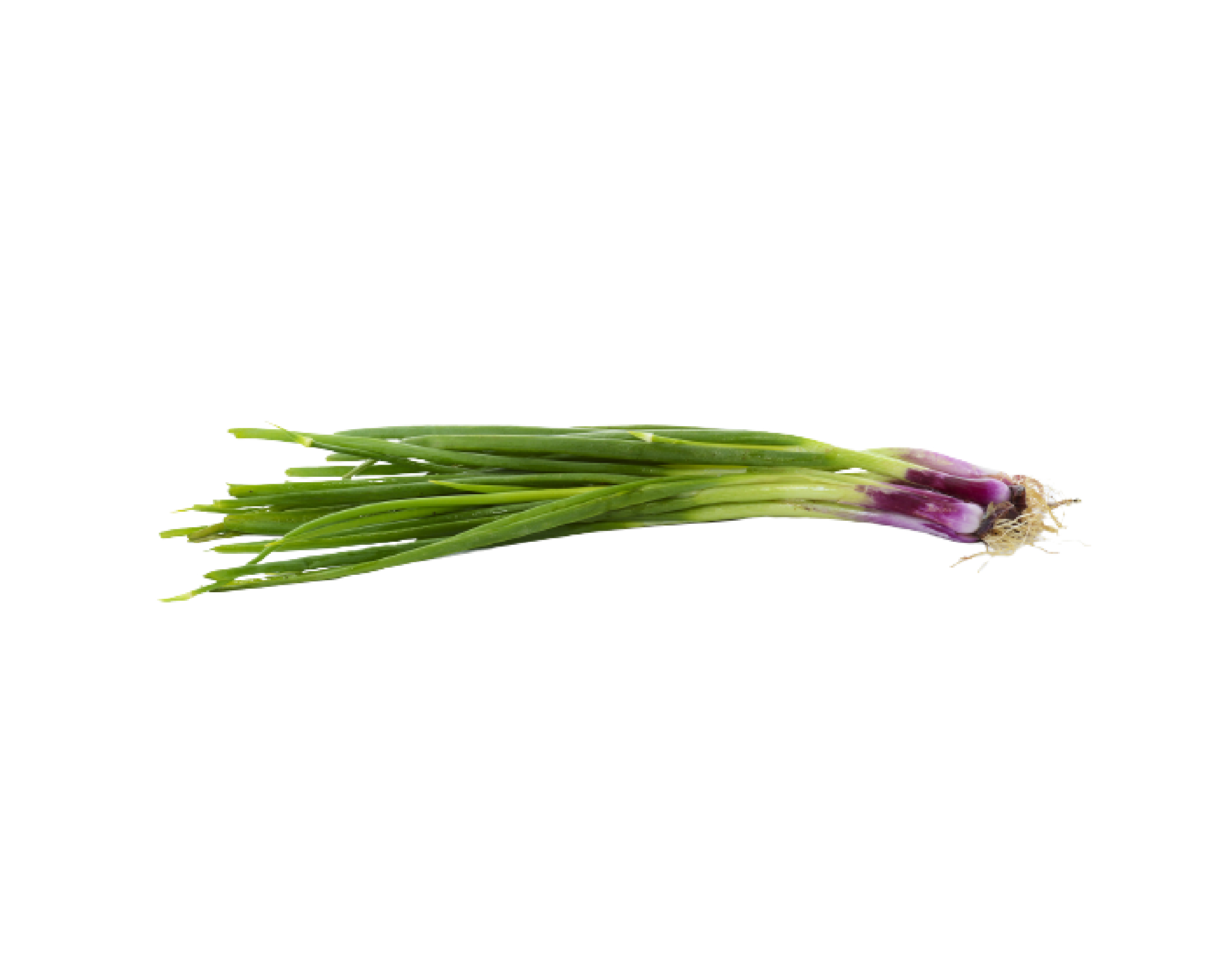 Segar2go Malaysia Spring Onion, 100 g