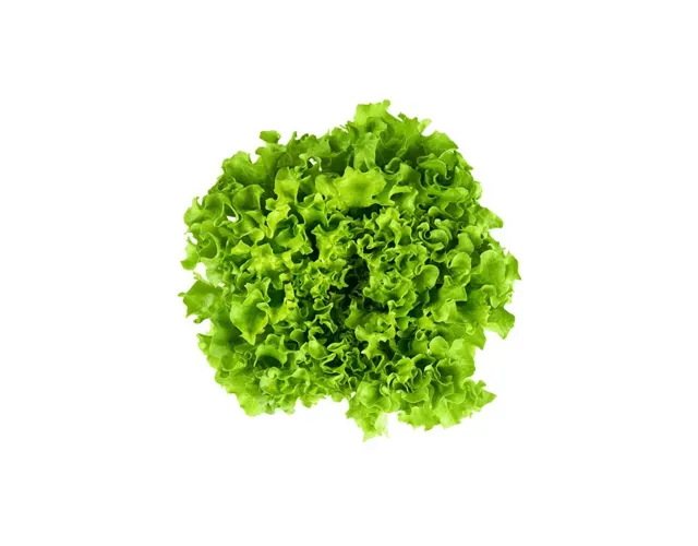 Segar2go Malaysia Crispy Lettuce, 200 g