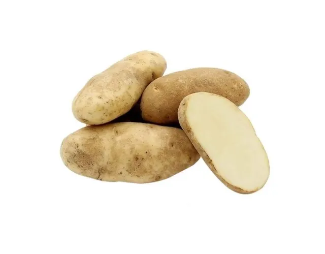 Usa Russet Potato (1 Pack)