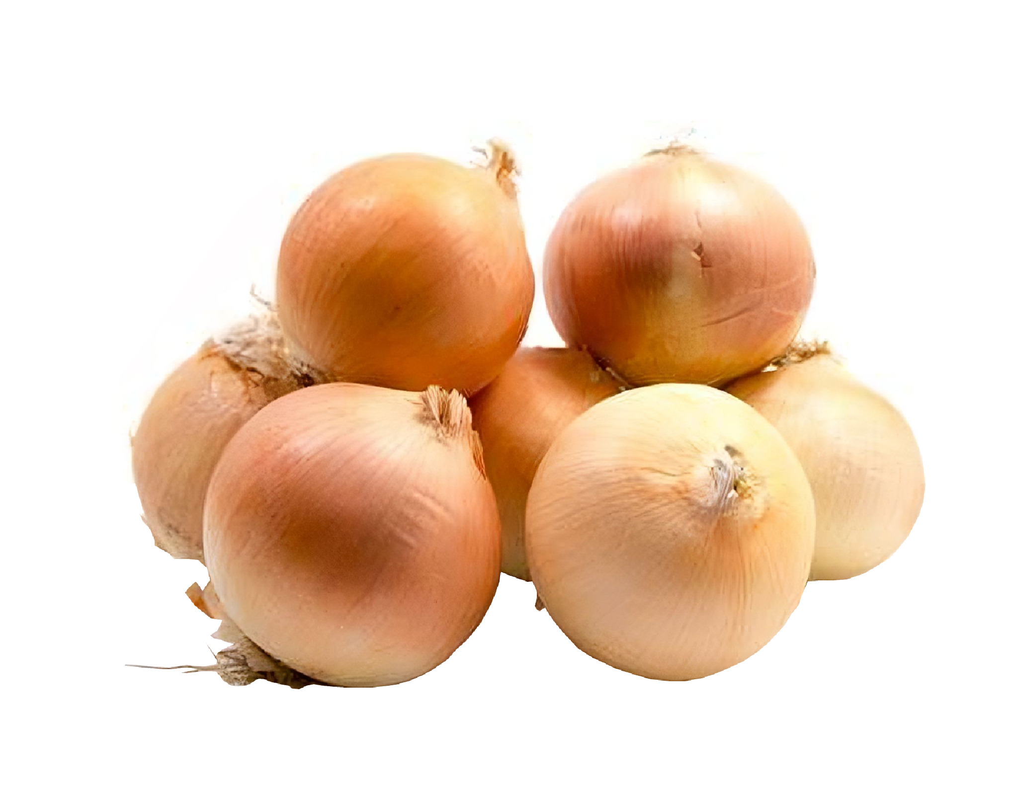 Fresh Yellow Onion