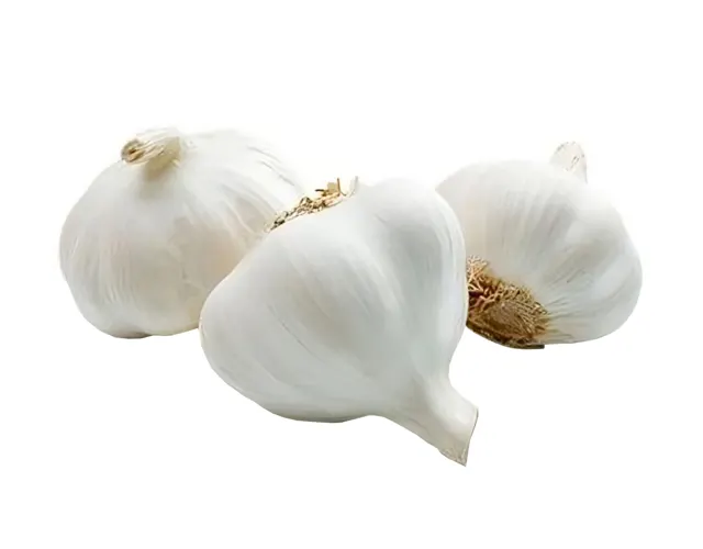 Premium White Garlic Bulbs