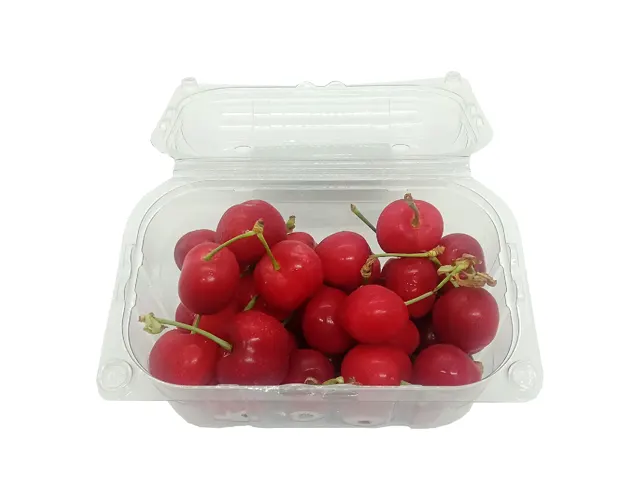 Turkey Cherry (1 Pack)