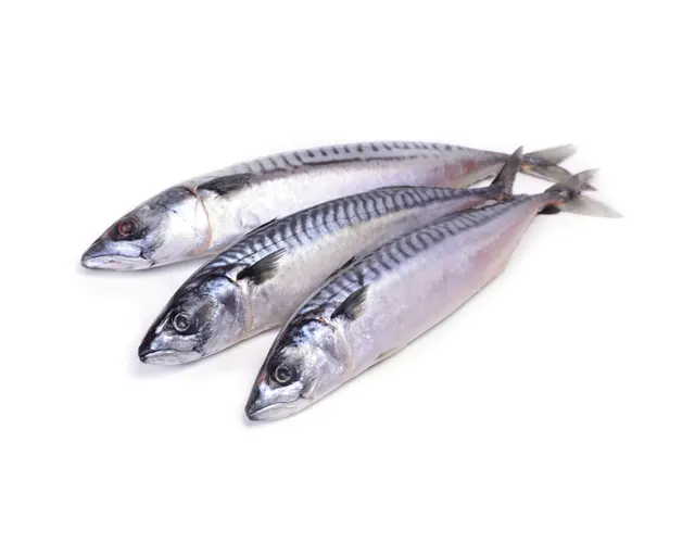 Ikan Sardin