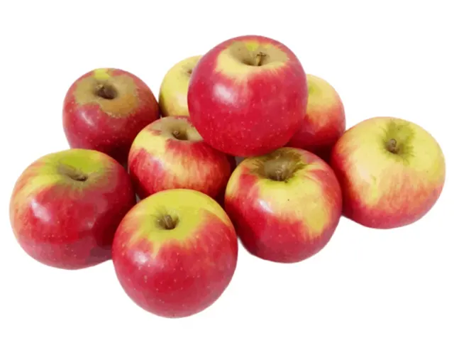 South Africa Cripps Red Apple, 1 pc