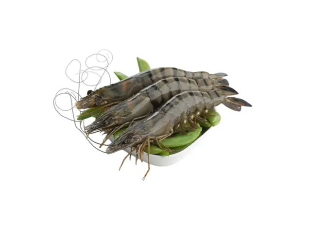 Udang Harimau Xxl ±300g