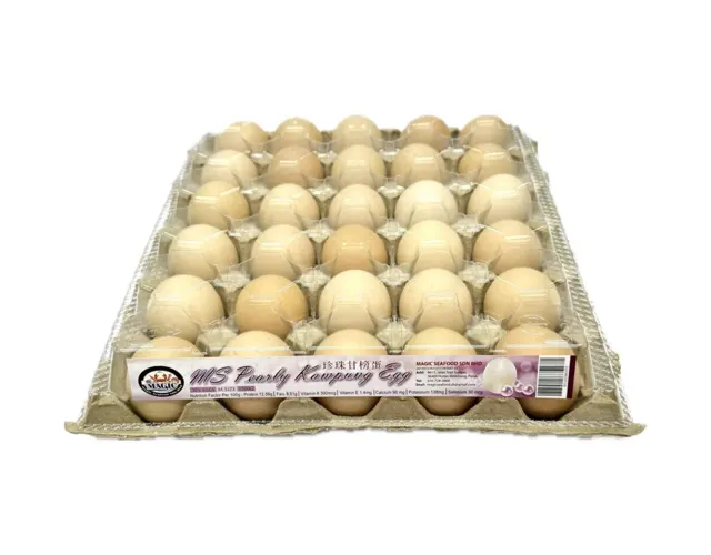 M.s Pearly Kampung Egg