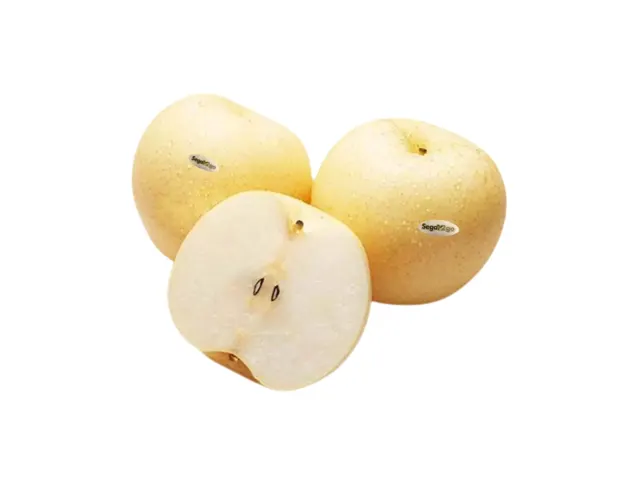 Segar2go China Golden King Pear