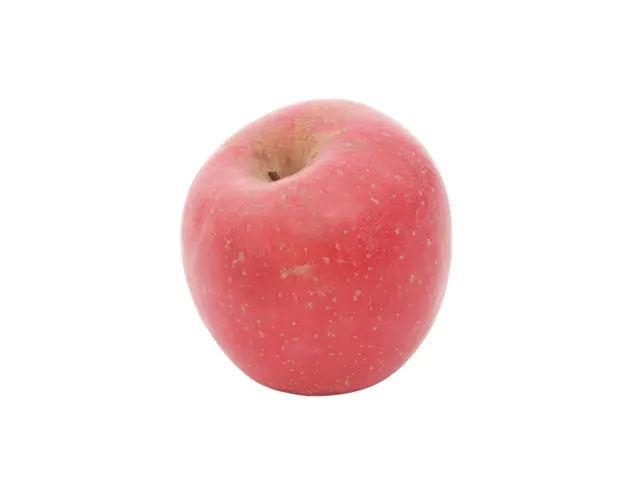 China Fuji Apple Xl, 1 pc