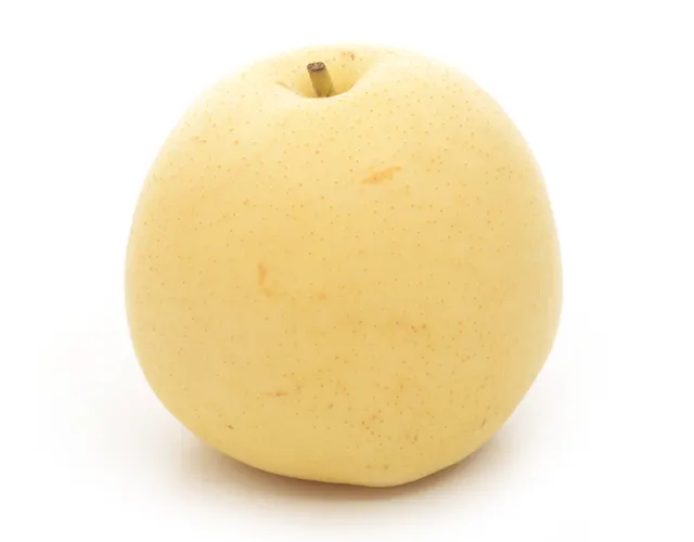 China Century Pear Xl, 1 pc