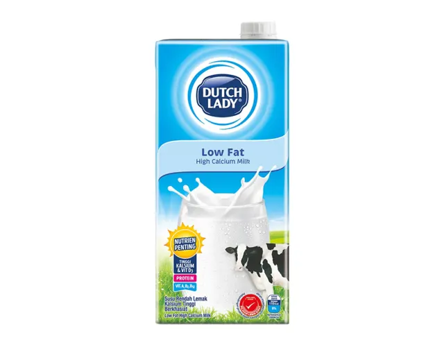 Dutch Lady Low Fat Milk 1L – High Calcium Option