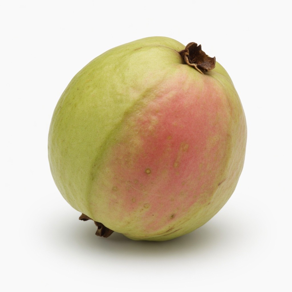 Jambu Batu Berbiji