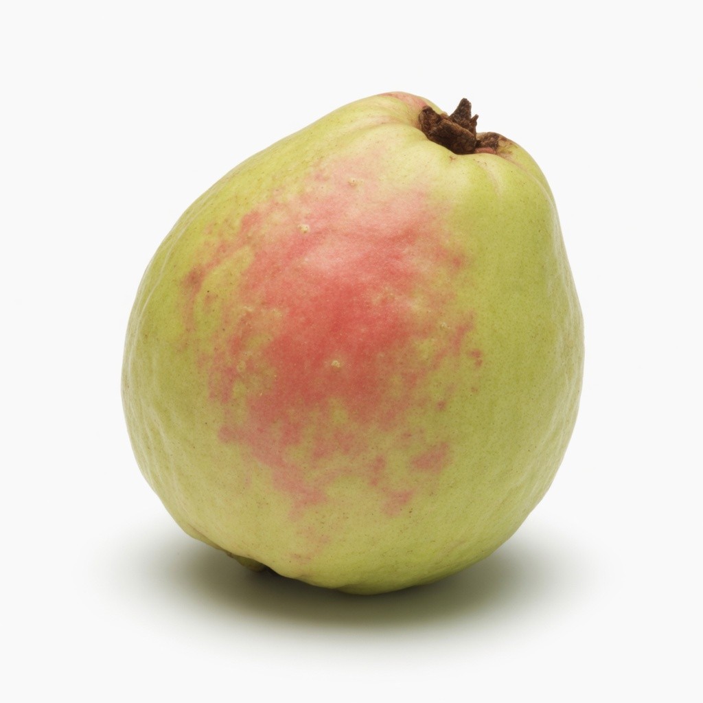 Jambu Batu Tanpa Biji