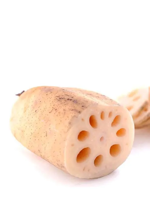 China Lotus Root