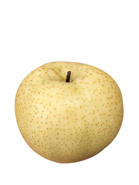 China Golden King Pear - Pc
