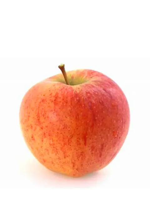Nz Gala Apple Pc