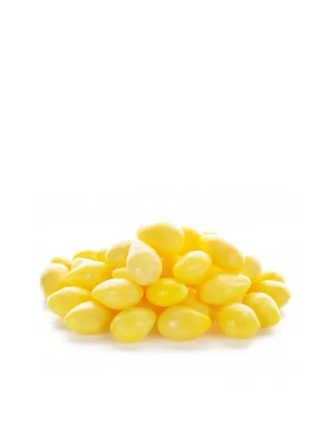 China Gingko Seed pkt