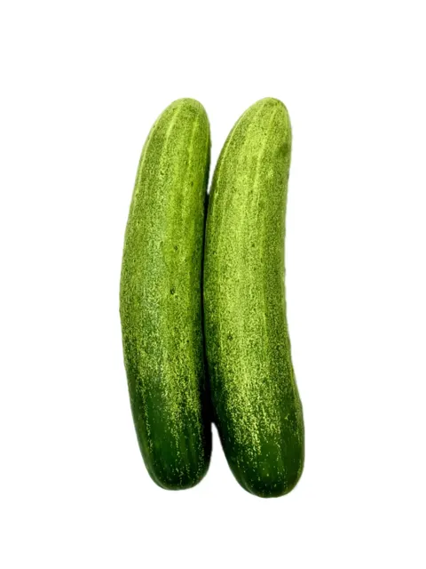 Suan Mokkh Organic Cucumber