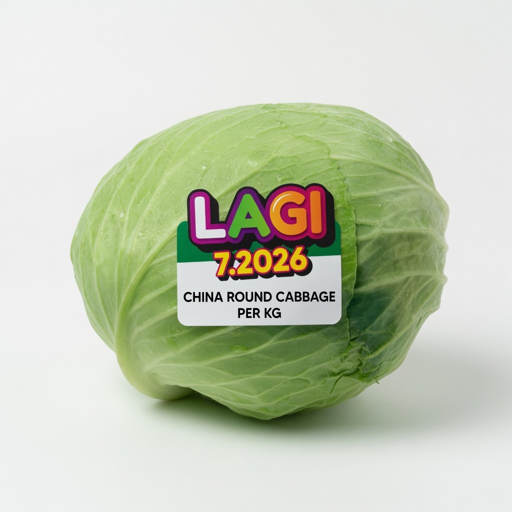 China Round Cabbage
