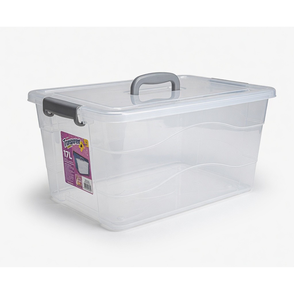 Transparent Storage Box With Handle