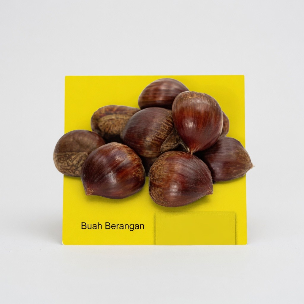 Buah Berangan