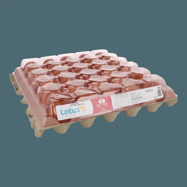 Econsave