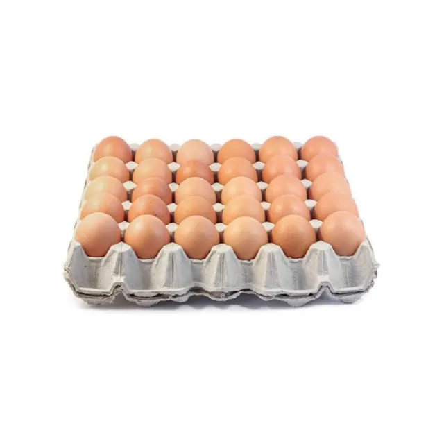 Telur Ayam B 30 Pieces (Tray)