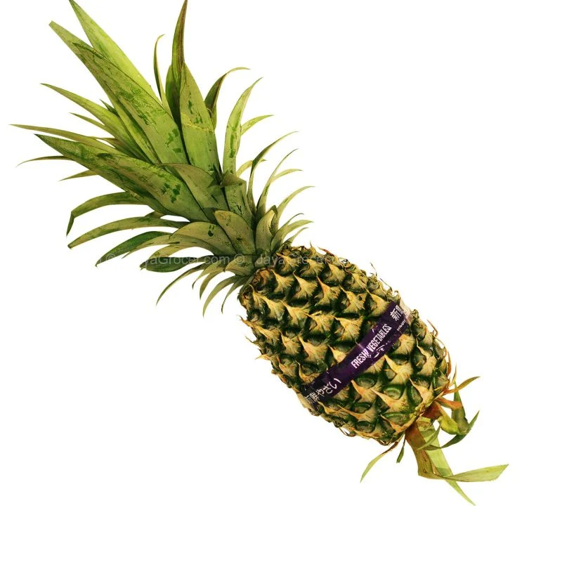 Sarawak Pineapple (Malaysia) 1unit