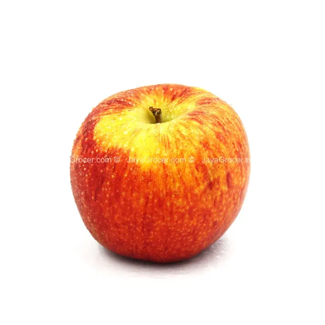 Apple Rose (New Zealand) 1unit