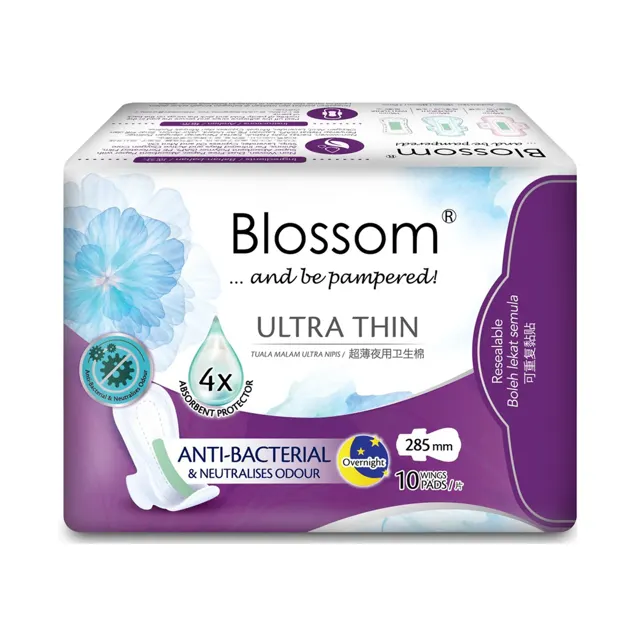 Blossom Day Ultra Thin Wing Sanitary Pad 20pcs x 2