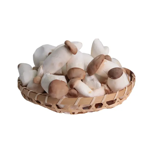 Greenstable Petite Mushroom (China) 200g
