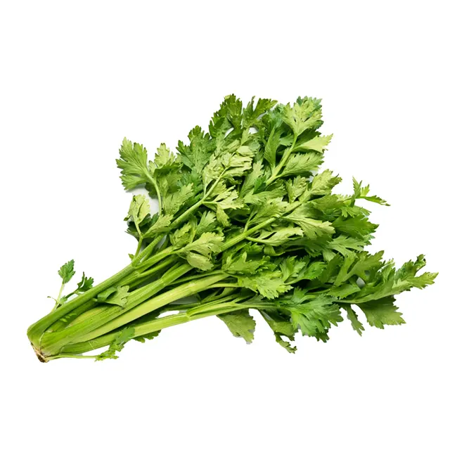 Pf Celery Baby (Malaysia) 250g