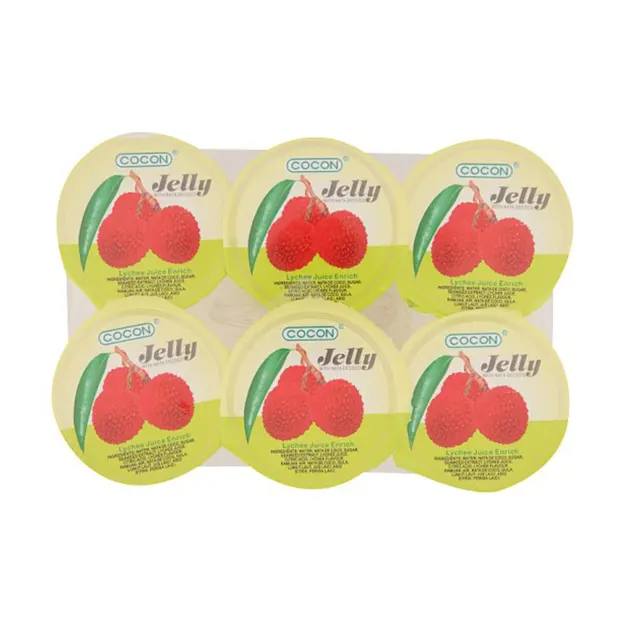 Dolphin Nata De Coco Lychee 480g
