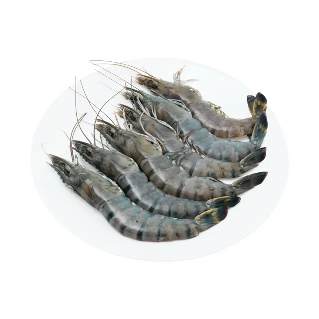 Tiger Prawn/Udang Harimau Xl 300g