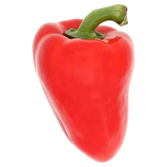 Lada Besar Merah (Red Capsicum)