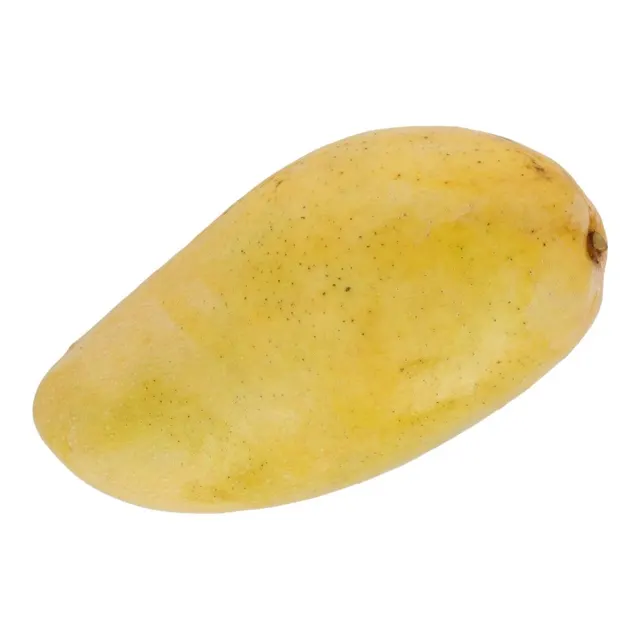 Mangga Golden Dragon-Kg (2004)