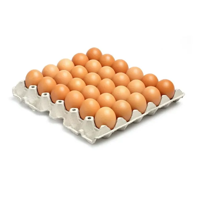 Chicken Eggs B 30S