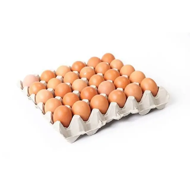 Chicken Eggs C 30S
