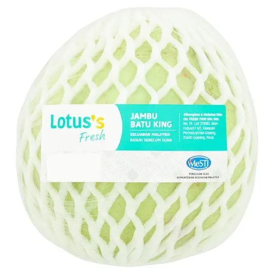 Lotuss Jambu Batu King - Sebiji