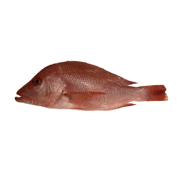 Whole Chicken +/-1.8kg