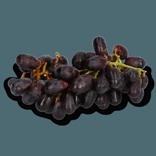 Lotus's Fresh Anggur Hitam Tanpa Biji 500g