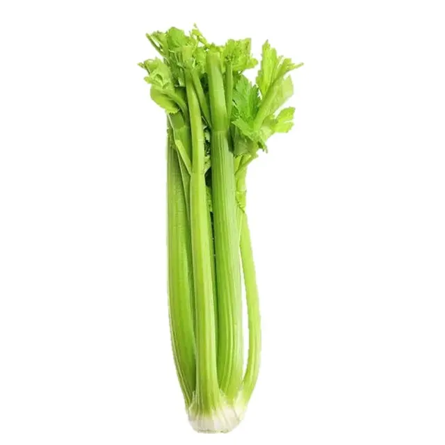 Daun Saderi Aust/aust Celery - Bdl