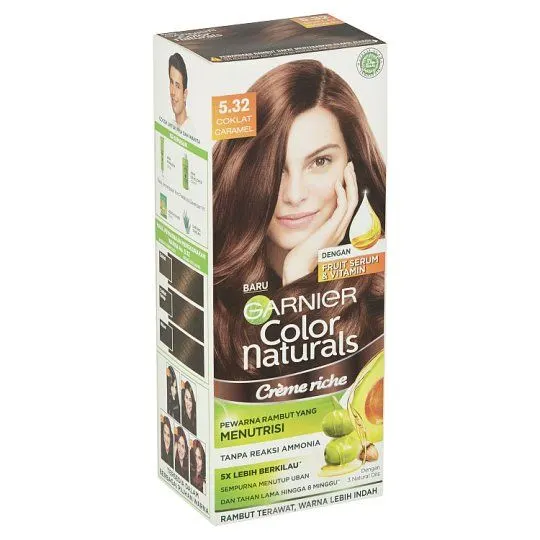 Garnier Color Kit Natural 5.32