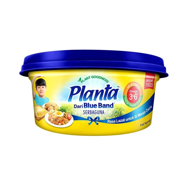 Planta 240g
