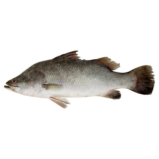 Ikan Siakap M (pcs